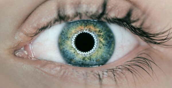 Human eye as the Fundamental AI Research (FAIR) team at Meta announces five projects advancing the company's pursuit of advanced machine intelligence (AMI) with significant boosts to enhancing perception abilities for use cases including robotics and agents.