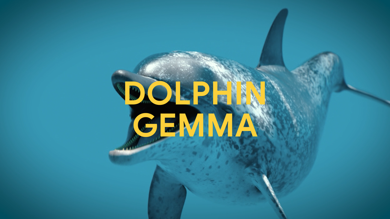 How AI can decipher dolphin communication