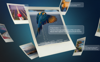 Exploring the context of online images with Backstory