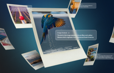 Exploring the context of online images with Backstory