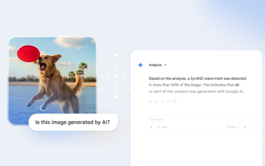 The Gemini app gets new image verification features